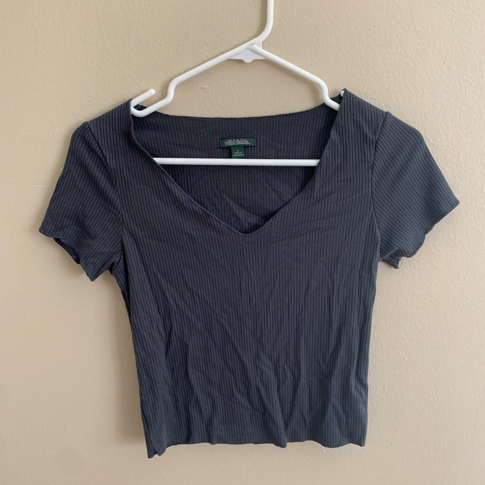⭐️3for$15 wild fable v neck t shirt